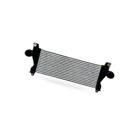Suitable for Ford Ranger Bi Turbo 2.0L intercooler - BD1