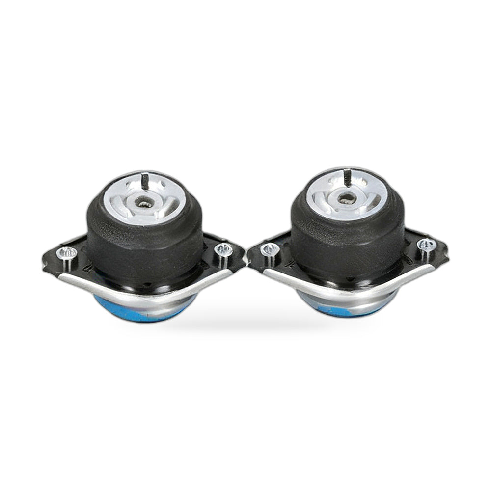 Engine Mount Suitable for Mercedes GL ML R Class 05-12 A2512404417 A2512403117 - ZT2