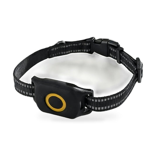 4G Wireless GPS Dog Tracker Suitable for Outdoor Use