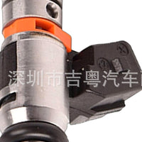 IWP176 Fuel Injector Suitable for VW Ford Focus Golf 1.0 1.6 8V - XQ1