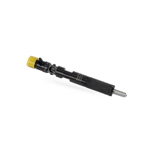 Common Rail Diesel Injector Suitable for Renault Clio Kangoo Megane Dacia Logan