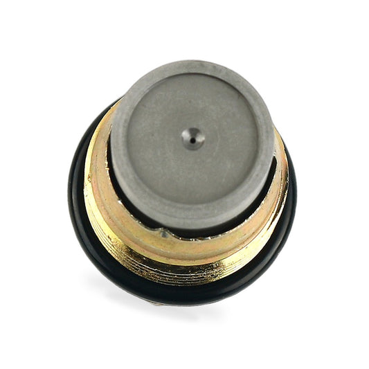 Fuel Rail Pressure Relief Valve Suitable for Renault Megane Laguna Scenic Koleos